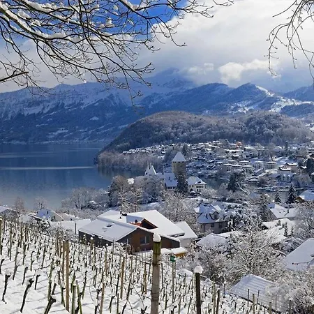 Apartman In The Countryside Kitchen Parking Lot Spiez